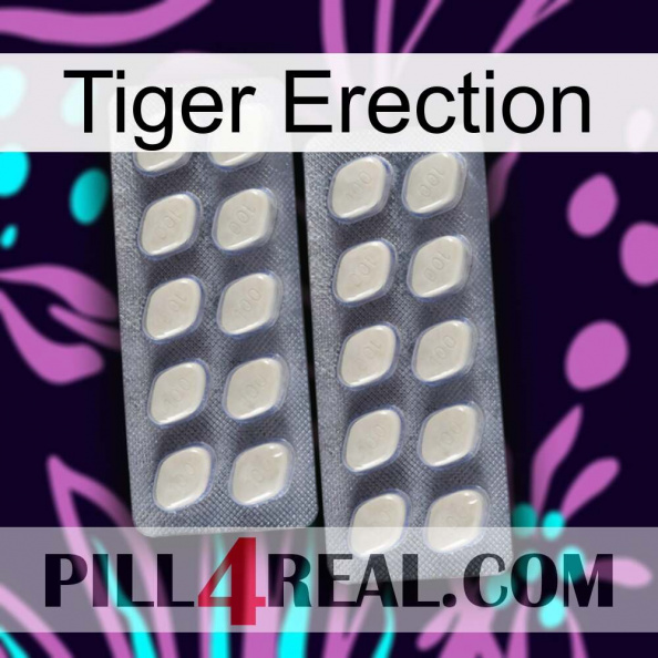 Tiger Erection 07.jpg